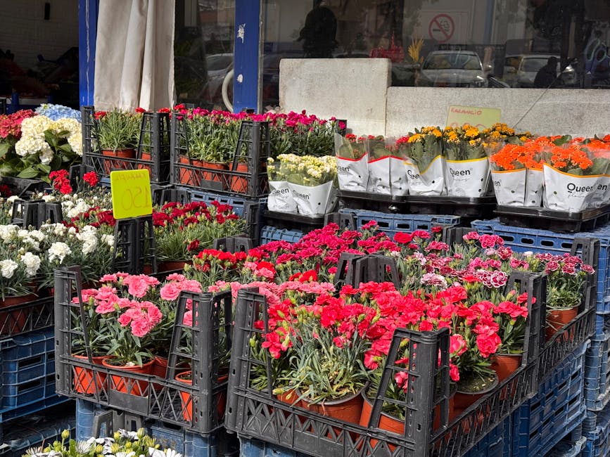 A display of potted flowering plants arranged in black plastic crates outside a flower shop, featuring vibrant pink, red, white, orange, and yellow blossoms. The plants are in terracotta pots wrapped 