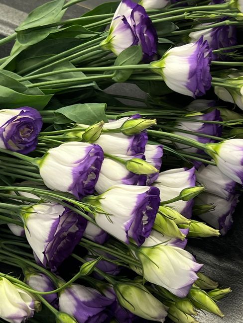 https://flowerstotteridge.co.uk/blog/totteridge-lane-florist-wedding-bouquet-guide/