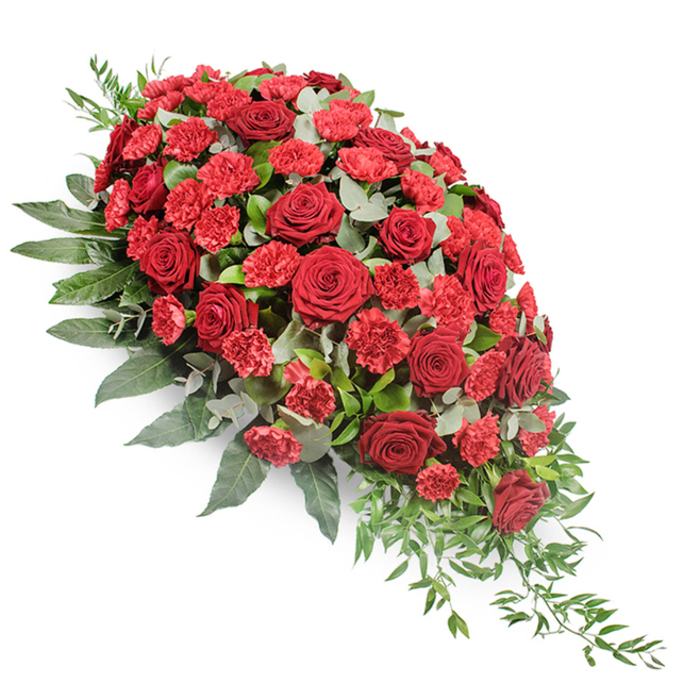 A refined, elongated funeral tribute in crimson and green is set against a completely white background, its cascading form stretching diagonally from top left to bottom right. The spray is packed with deep red roses, each one velvety and substantial, their petals unfolding in tight, symmetrical whorls that speak of classical beauty and solemn grace. Interspersed among these are clusters of red carnations and spray carnations, whose multi-layered, fringed petals add a soft, cloud-like texture that contrasts with the smooth curves of the rose blooms. Together, they create a dense ribbon of red that forms the central spine of the arrangement. Surrounding this core is a rich mantle of foliage: dark, substantial leaves anchor the design, giving it weight and a strong outline, while more delicate sprigs of silvery eucalyptus are threaded closer to the flowers, their round leaves introducing a gentle, smoky green that cools the intensity of the reds. At the lower right edge, lighter green trailing leaves, perhaps ruscus or a similar foliage, spill outwards and down, emphasizing the flowing teardrop silhouette and adding a sense of quiet movement, as if the flowers are bowing in respect. The lighting is soft and even, highlighting the natural sheen of the leaves and the velvety texture of the petals without sharp contrast. This is the kind of thoughtfully crafted casket spray a family in Totteridge might select for a final farewell, perhaps for a service near Totteridge Green, expressing love, honour, and remembrance in a traditional yet timeless style. The overall feeling is one of deep sympathy and heartfelt presence.