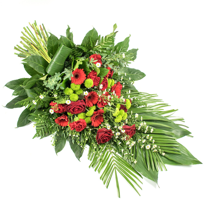 This refined sympathy spray, photographed against a stark white background, stretches in a long, tapering line that echoes the gentle curves of the lanes around Totteridge Lane. The palette is a thoughtful balance of deep, passionate reds, luminous lime greens, and touches of soft white. At the heart of the composition, dark red roses take centre stage, their velvety petals layered and luxurious, some blooms fully open while others remain in bud, hinting at tender memories still unfolding. Around them, striking red gerbera daisies with pronounced dark centres bring a modern daisy shape, and ruffled red carnations weave in and out, adding texture and volume. Punctuating the design are clusters of lime green chrysanthemum pompons, each round head tightly packed with petals, bringing eye-catching contrast and a slightly contemporary edge that keeps the tribute feeling fresh and current. Scattered throughout are delicate white filler flowers, perhaps tiny daisies or gypsophila, that lift the overall mood and introduce a soft, cloudlike lightness. The blooms are anchored in an abundance of mixed greenery: broad, glossy dark green leaves such as salal form a strong base, while leatherleaf fern and varied smaller foliage create layers and gentle movement. At the lower right, several long, broad leaves are carefully fanned out to emphasise the elegant, cascading line, and at the upper left, a structured bundle of tall green stems rises upright, with one wide leaf wrapped gracefully around them to finish the design with a contemporary flourish. Crafted with the quiet skill you would expect from Flowers Totteridge, this arrangement offers a respectful, polished tribute, suitable for casket adornment or as a standing spray at a Totteridge funeral service or memorial reception.