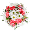 This jubilant Totteridge bouquet captures the uplifting beauty of spring in North London, each detail handpicked to evoke renewal and happiness. White daisies, luminous with golden-green centres, nestle amongst clusters of plush coral-pink carnations-their layers of soft petals swirling in gentle motion, echoing the blooming borders seen along Totteridge's greenways. Sprigs of baby's breath spill throughout, their airy whiteness adding a starlit delicacy, while bold hints of blush and lavender on unopened alstroemeria signal vitality and promise. The entire arrangement is encircled by eucalyptus and deep green foliage, textures reminiscent of raindrops on morning leaves near Totteridge Park. In the soft, natural daylight, every colour and form is heightened-fresh, tranquil, and exuberant all at once. This bouquet calls to mind the joy of celebrations and close-knit gatherings in the Totteridge community, perfectly suited for birthdays, thank-yous, or simple moments of connection. Its harmonious blend of modern and classic flowers, arranged with care and artistry, offers a beautiful way to brighten a dining table or send thoughtful wishes across Totteridge's leafy avenues, demonstrating the expertise and heartfelt touch of local florists.