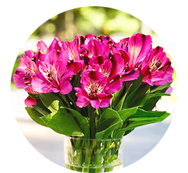 Same day Flowers Totteridge